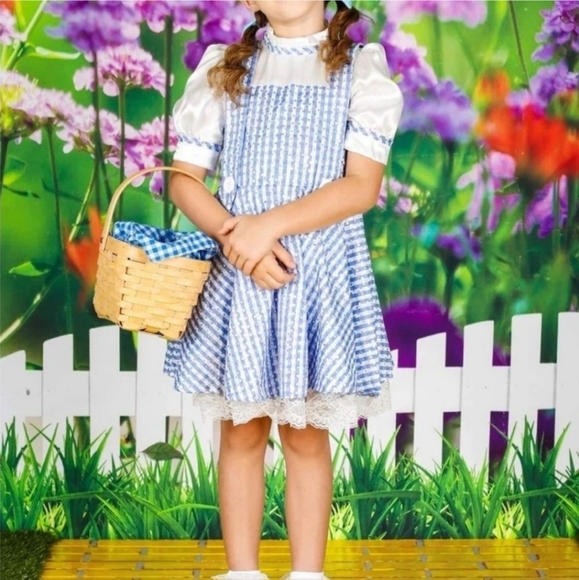NWT Dorothy Wizard of OZ Halloween Costume Cosplay Child's Small 3-4 Years New - Picture 3 of 9